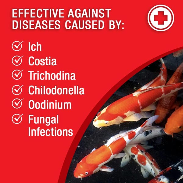 Microbe-Lift Broad Spectrum Disease Treatment