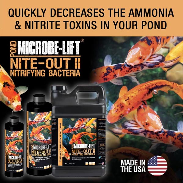Microbe-Lift Nite Out II - Nitrifying Bacteria