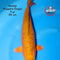 Koshiji - Aragoke Chagoi - Female - Sansai - 55 cm