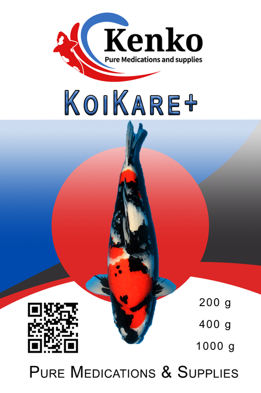 Kenko Koi Kare+
